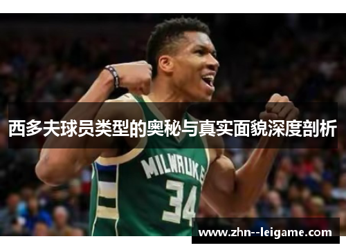 西多夫球员类型的奥秘与真实面貌深度剖析 西多夫球员类型的奥秘与真实面貌深度剖析